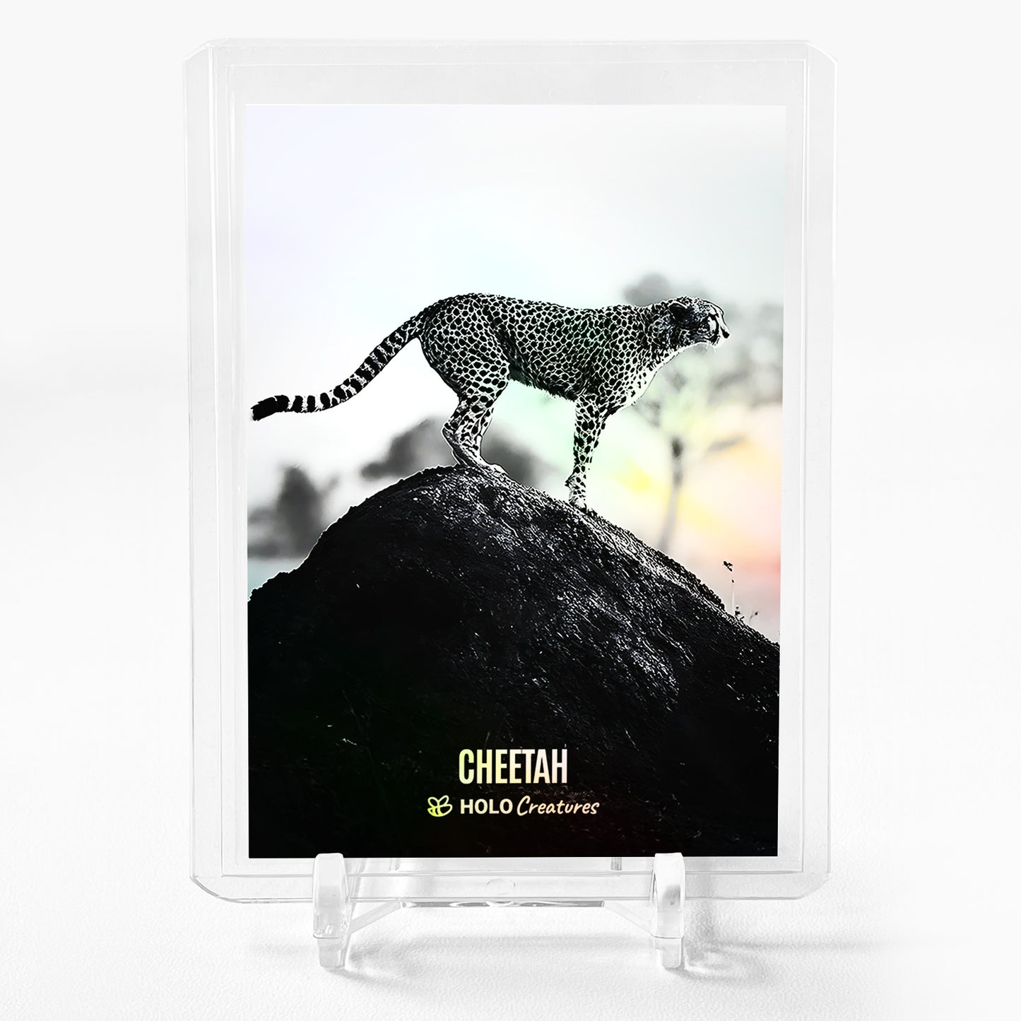 CHEETAH The Serengeti Card 2023 GleeBeeCo Holo Creatures #CHTH