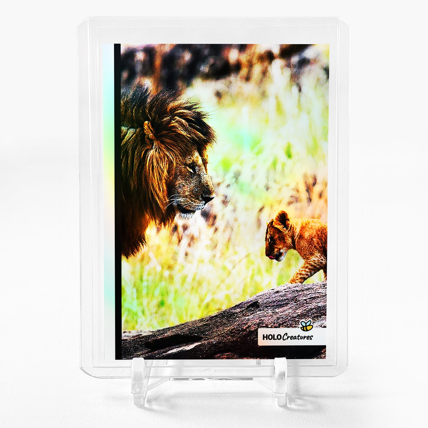 LION WITH CUB Holographic Photo Card 2023 GleeBeeCo Holo Creatures #LNSR