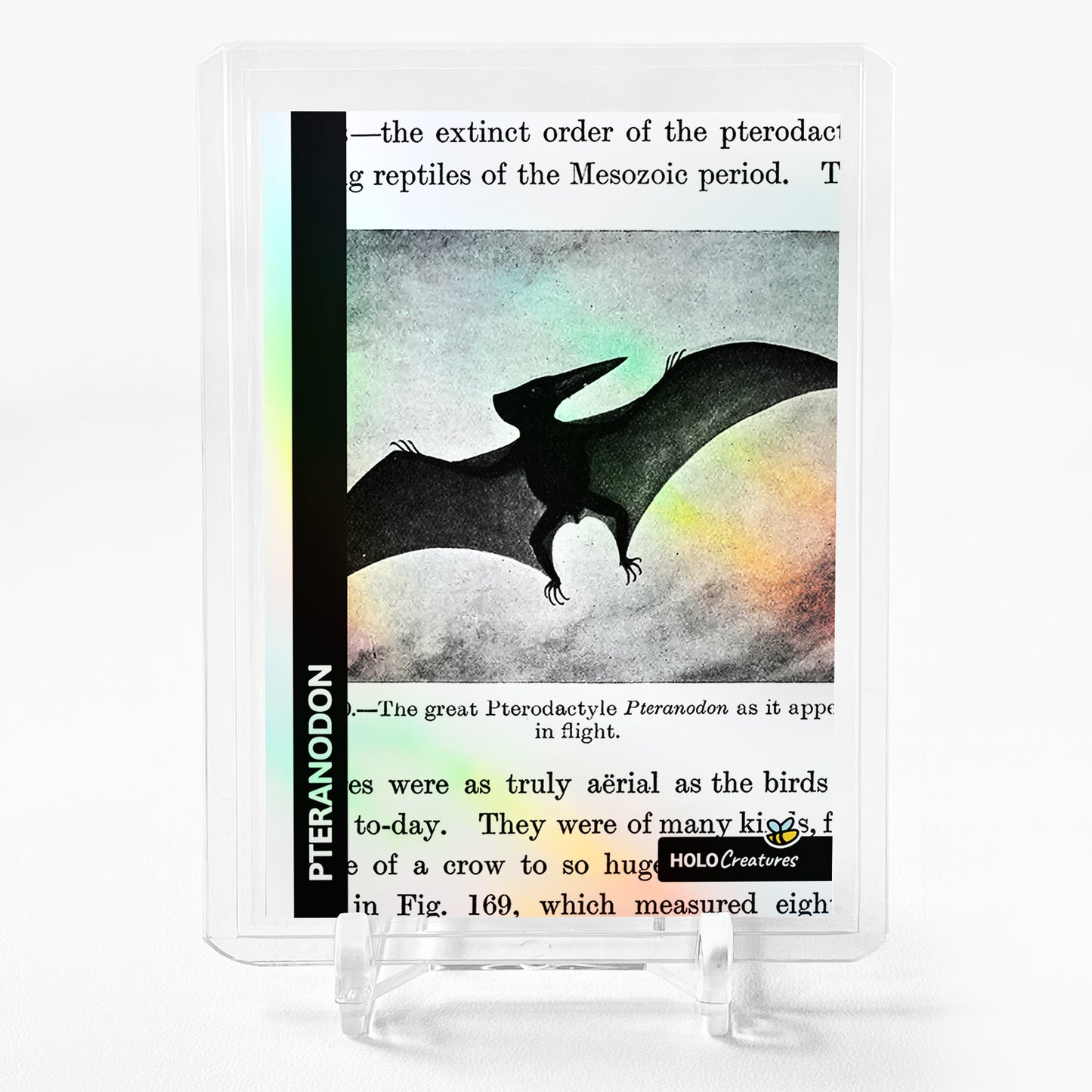 PTERANODON Holographic Card 2023 GleeBeeCo Holo Creatures #P597 VERY SPECIAL