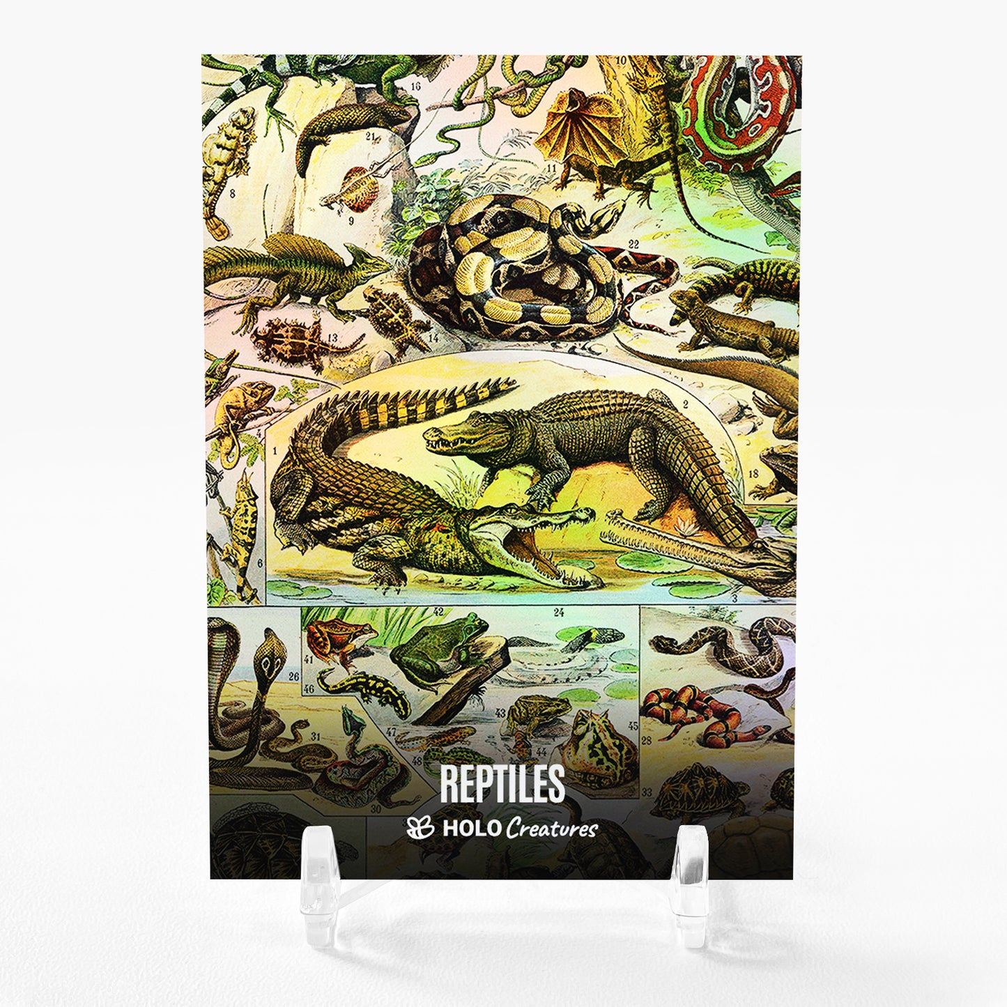 REPTILES Art Trading Card 2023 GleeBeeCo Adolphe Millot Holographic #RPAL