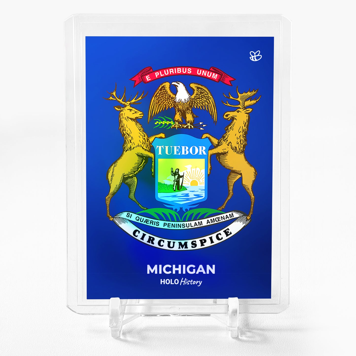 FLAG OF MICHIGAN U.S. State Flags Michigan Flag Card 2023 GleeBeeCo Holo #5695