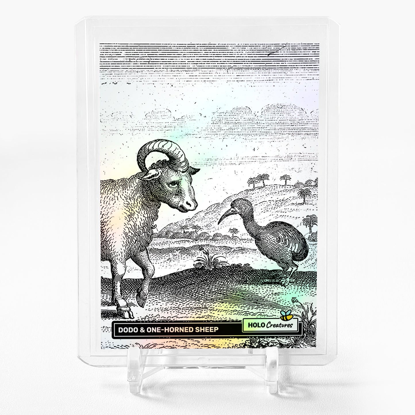DODO & ONE-HORNED SHEEP Holographic Card 2024 GleeBeeCo Holo Creatures #DDCR