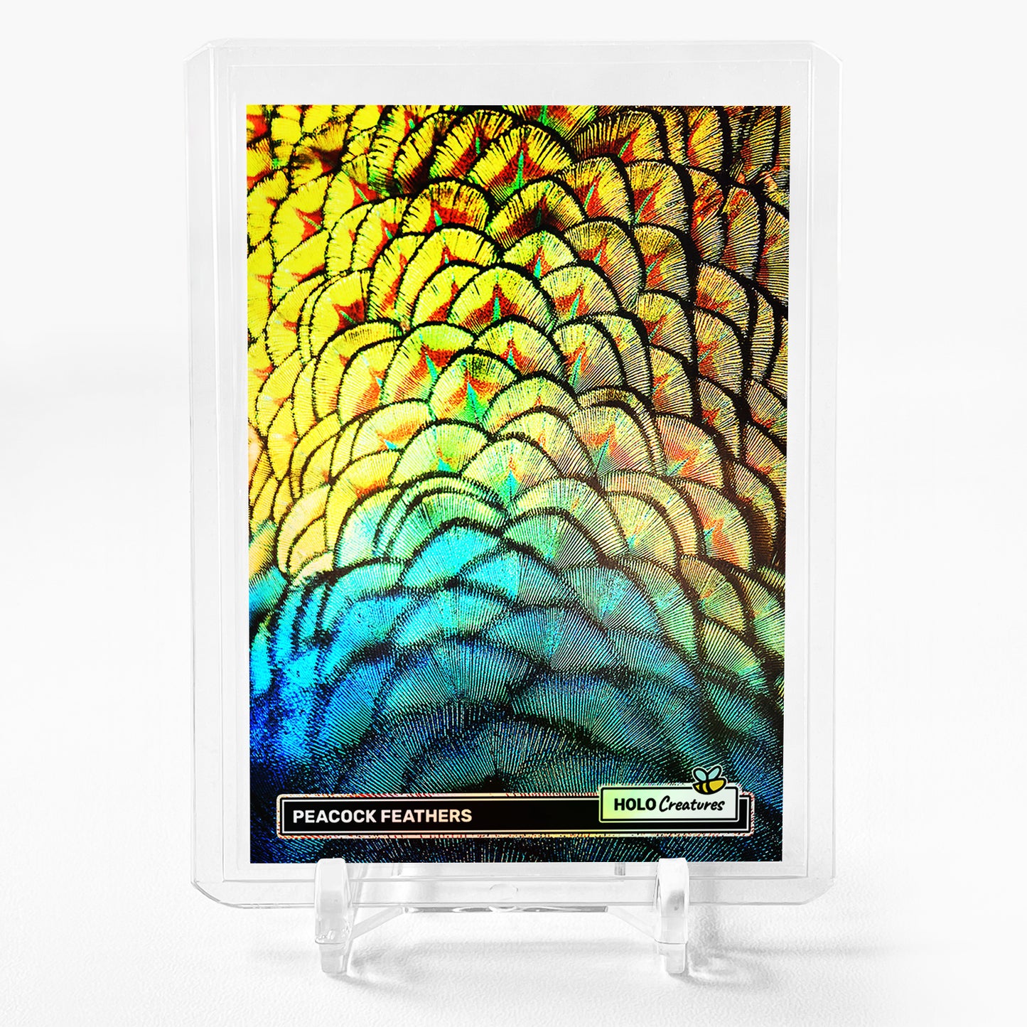 PEACOCK FEATURES Photo Trading Card 2024 GleeBeeCo Holo Creatures Up Close #PCCB