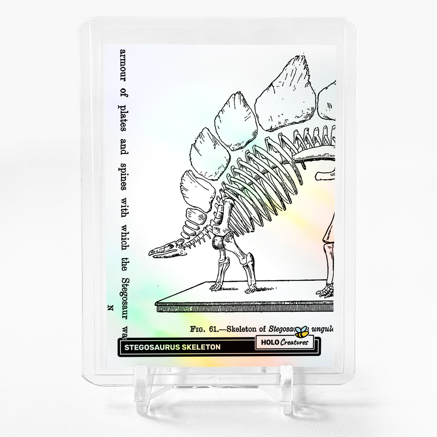 STEGOSAURUS SKELETON Art Trading Card 2024 GleeBeeCo Holo Creatures #S7A2