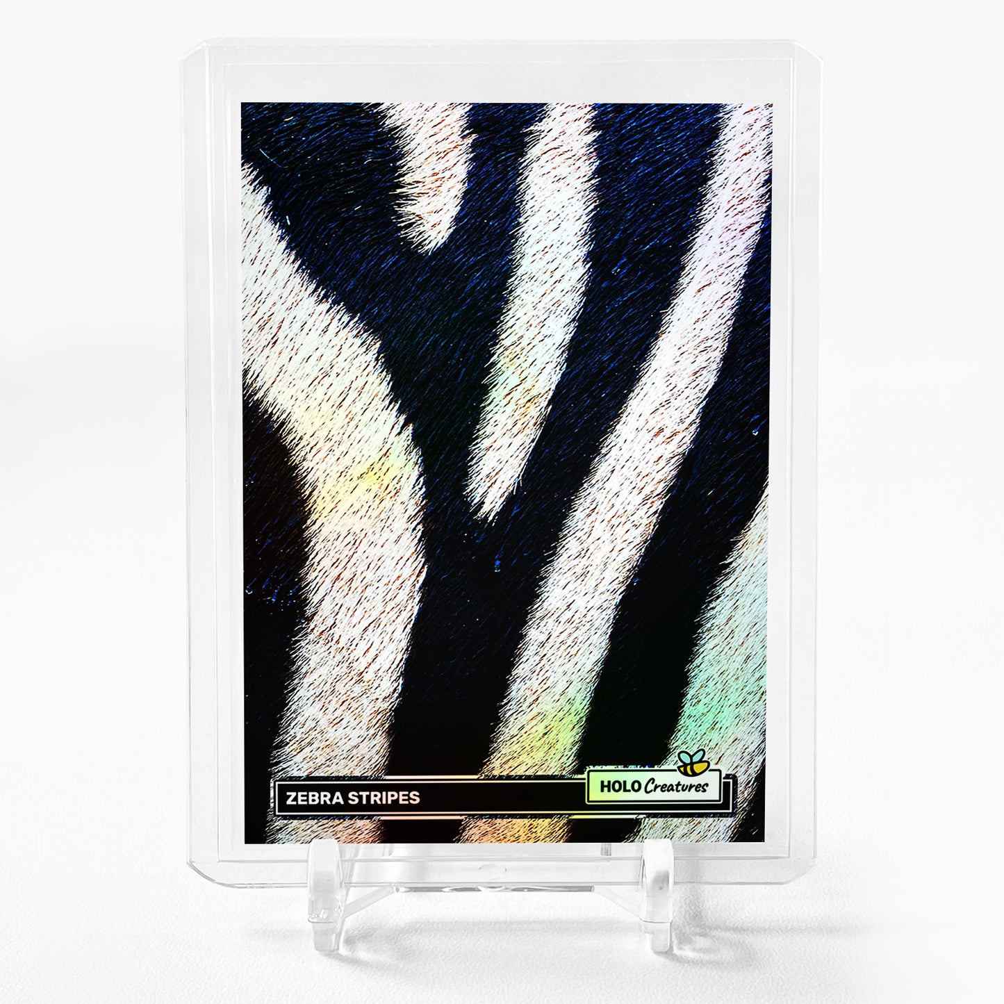 ZEBRA STRIPES Photo Trading Card 2024 GleeBeeCo Up Close Holographic #ZBC9