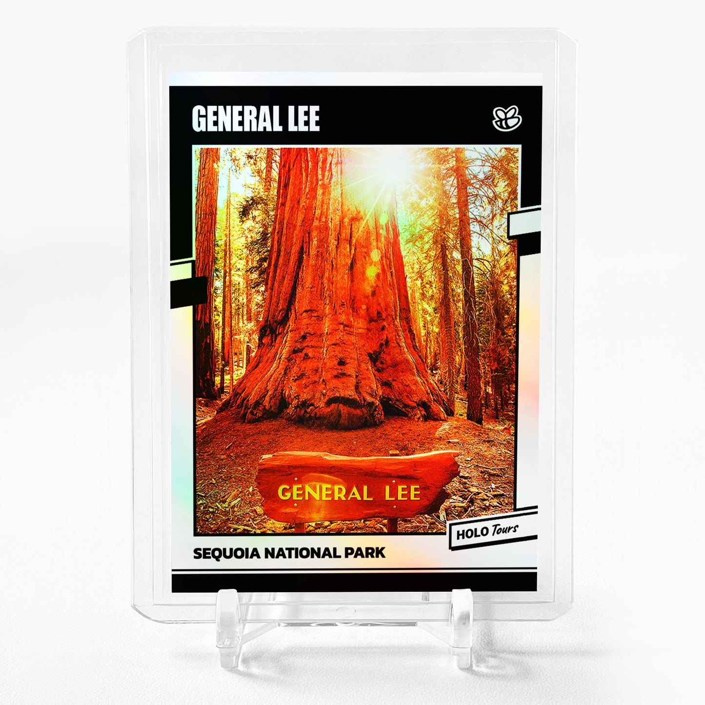 GENERAL LEE Card 2024 GleeBeeCo Sequoia National Park Holographic #GNSQ