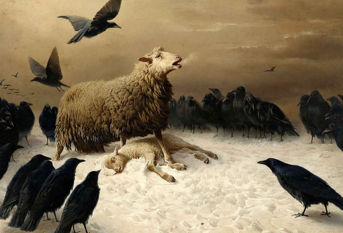 Anguish Art Print by August Friedrich Schenk (6 Sizes) - Sheep