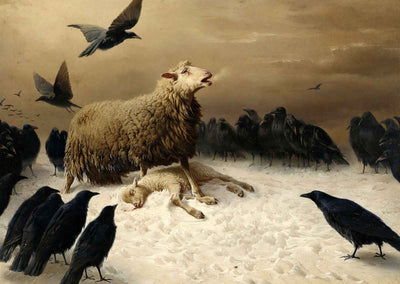 Anguish Art Print by August Friedrich Schenk (6 Sizes) - Sheep