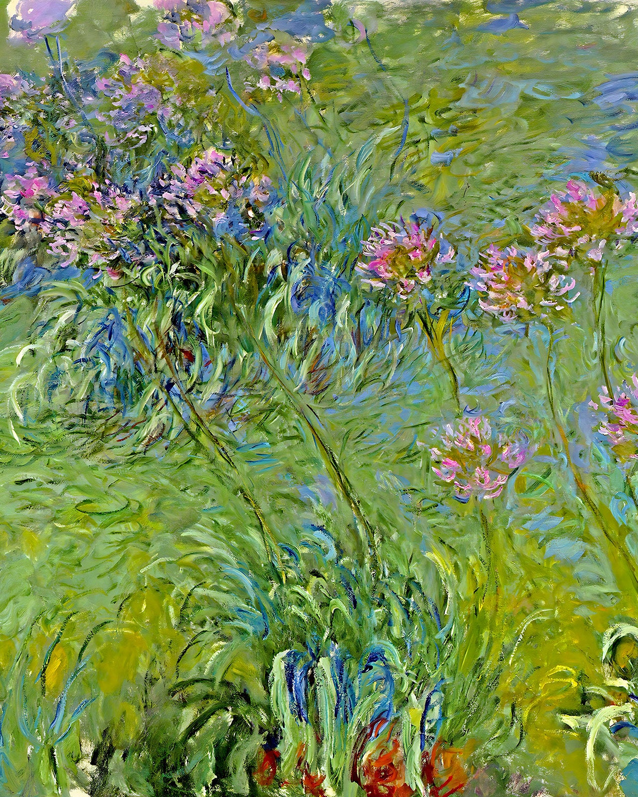 Agapanthus Flowers Painting by Claude Monet 8x10" Art Print