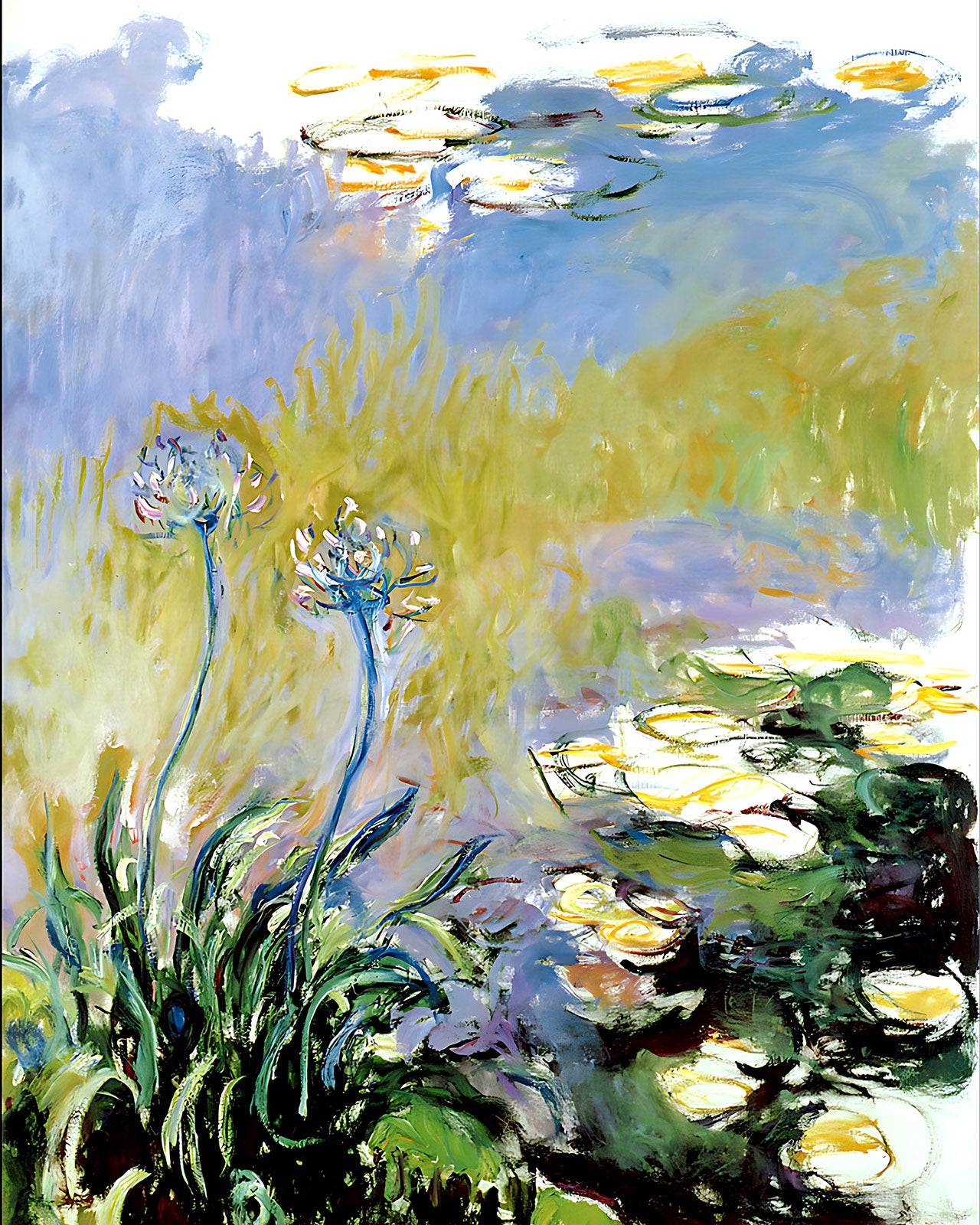 Agapanthus Painting by Claude Monet 8x10" Art Print