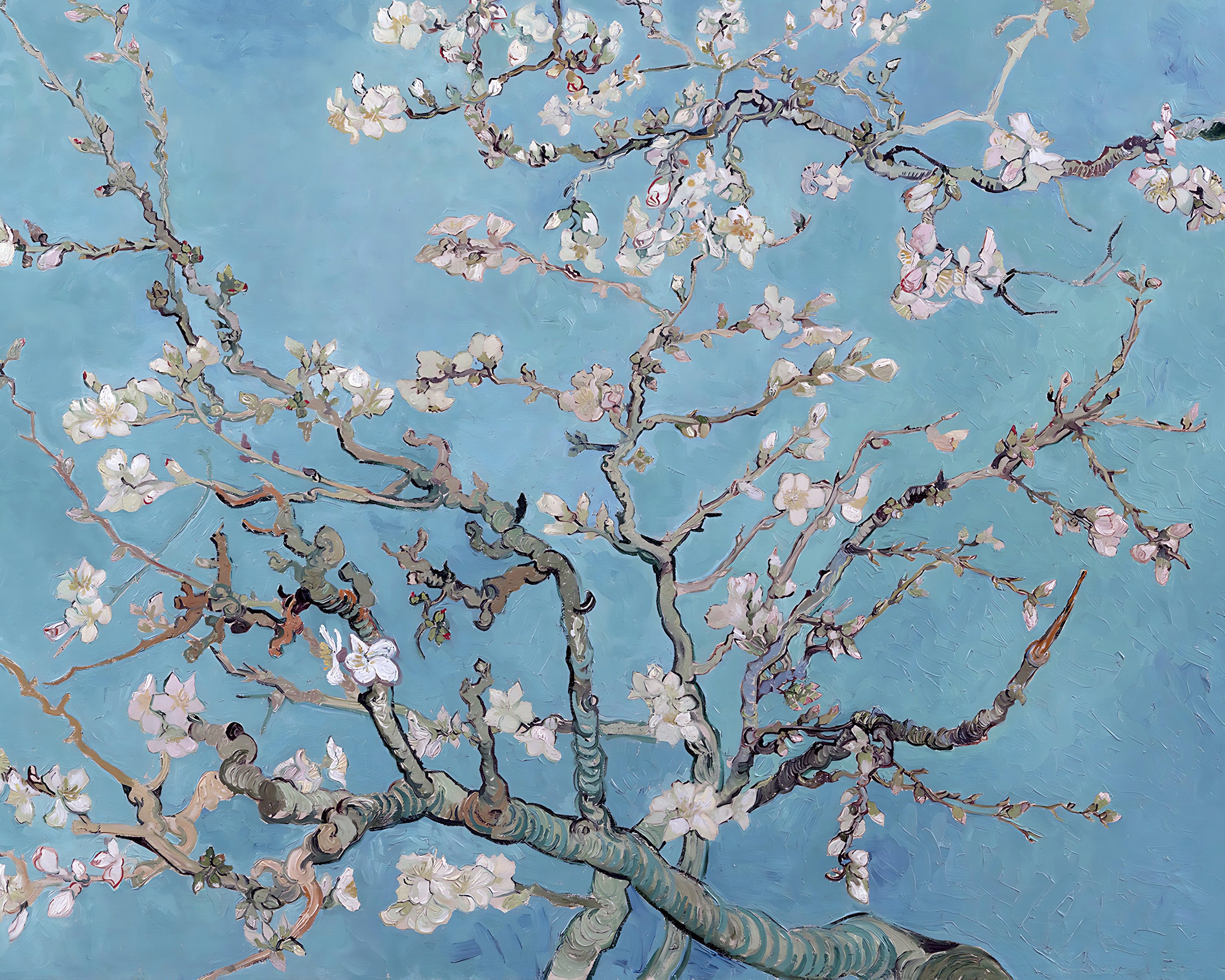 Almond Blossom Painting By Vincent Van Gogh 8x10 Art Print Flowers Almond Blossom Painting By Vincent Van Gogh 8x10 Art Print Flowers