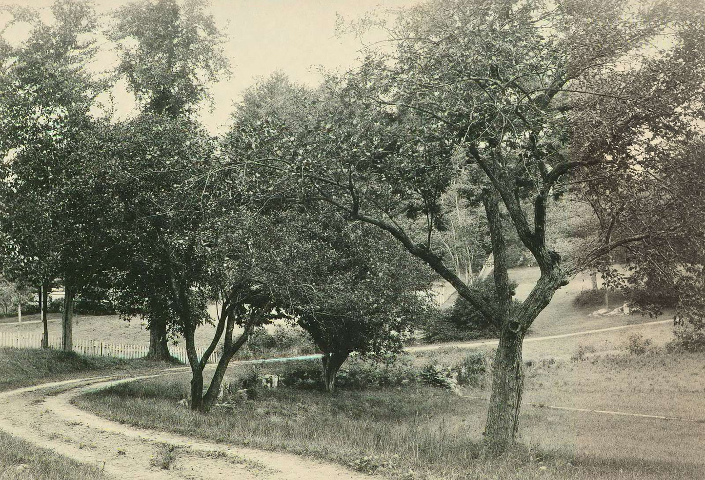 A Beauty Spot Plymouth NH in 1905 Vintage Print (7 Sizes) - Restored