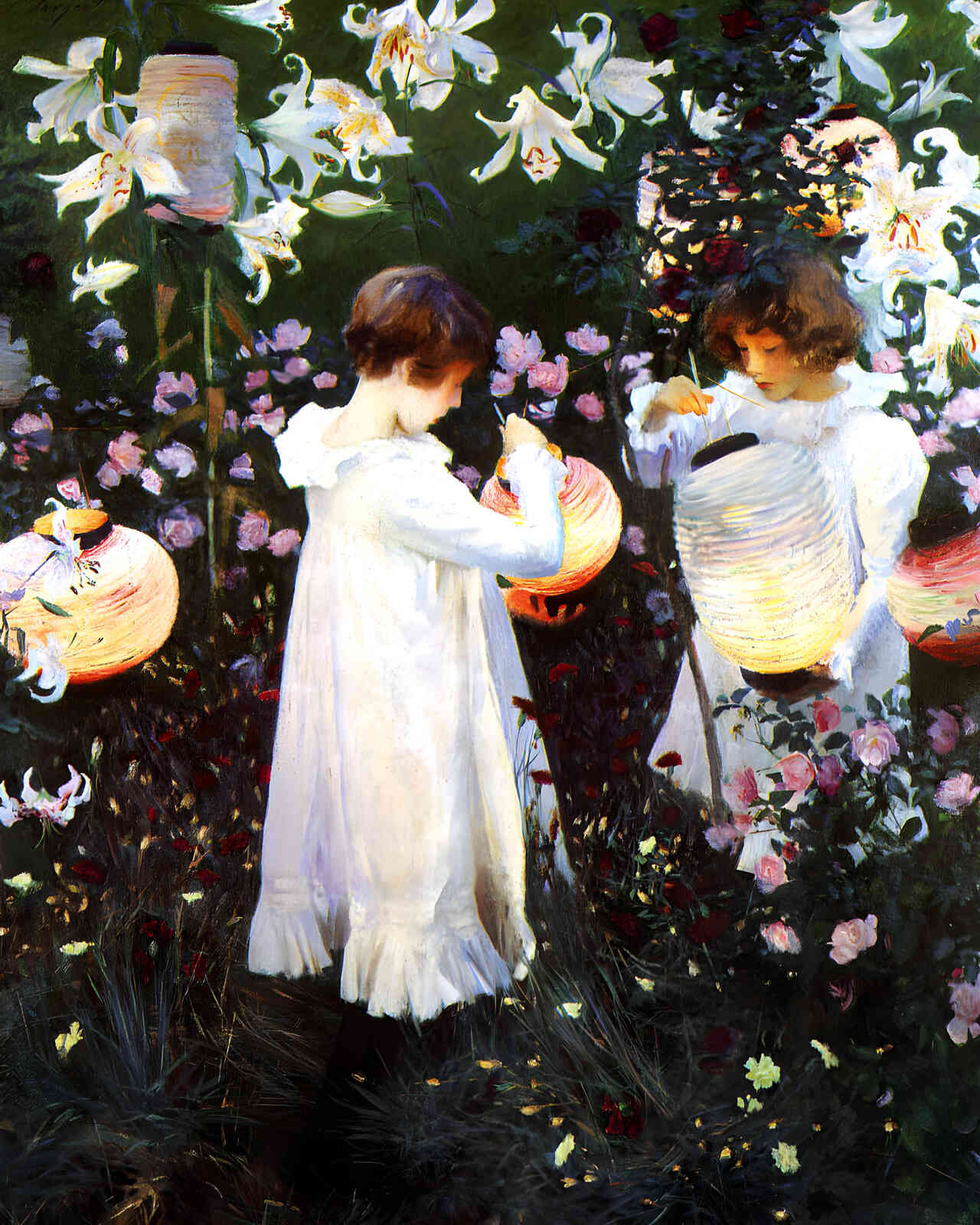 Carnation