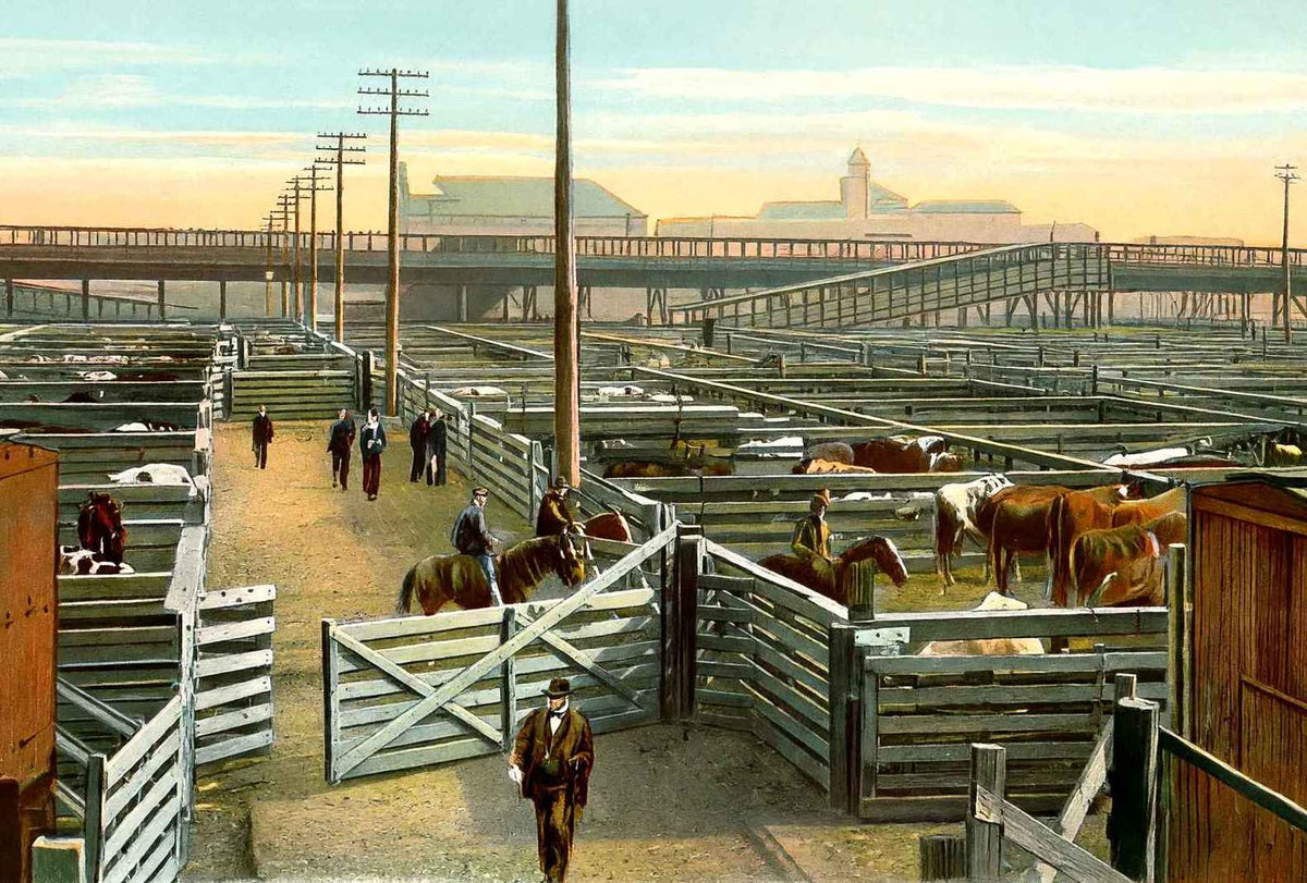 Union Stock Yards Chicago in 1905 Vintage Print (7 Sizes) - Premium Print