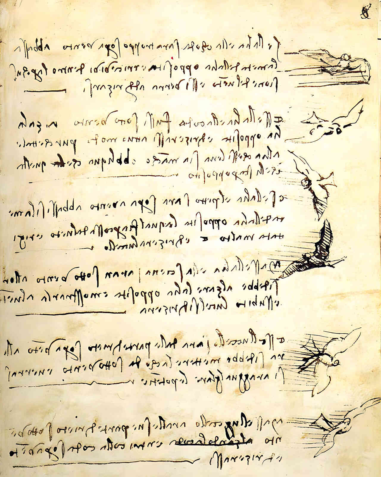 Codex on the Flight of Birds Painting by Leonardo da Vinci 8x10" Art Print