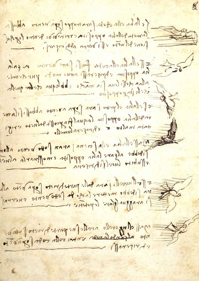 Codex on the Flight of Birds Art Print 1505 Drawing by da Vinci (6 Sizes)