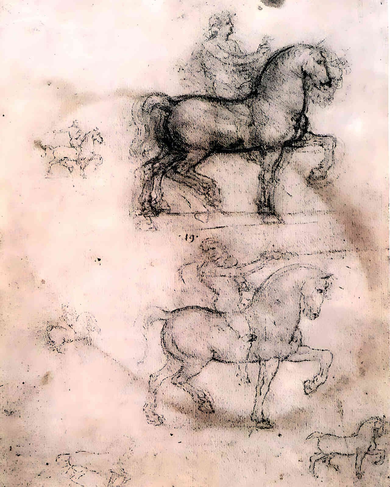 Equestrian Monument Painting by Leonardo da Vinci 8x10" Art Print - Restored