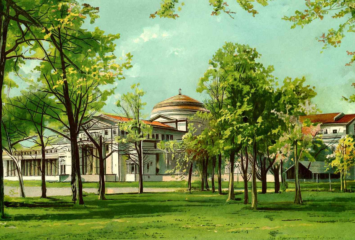 Field Museum Jackson Park Chicago Vintage Print (7 Sizes) - Shipped Flat