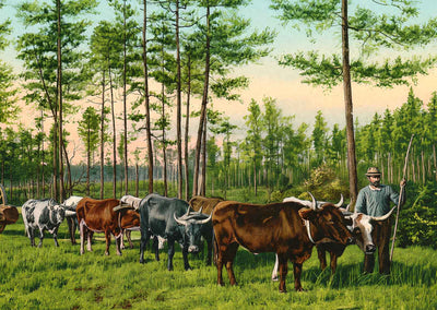 From Forest to Mill Mobile Alabama in 1905 Vintage Print (7 Sizes)