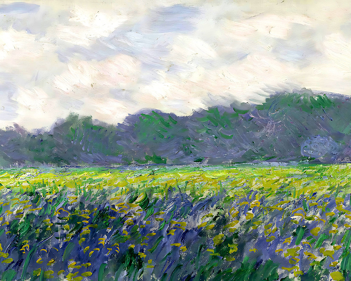 Field of Yellow Irises at Giverny Painting by Claude Monet 8x10" Art Print