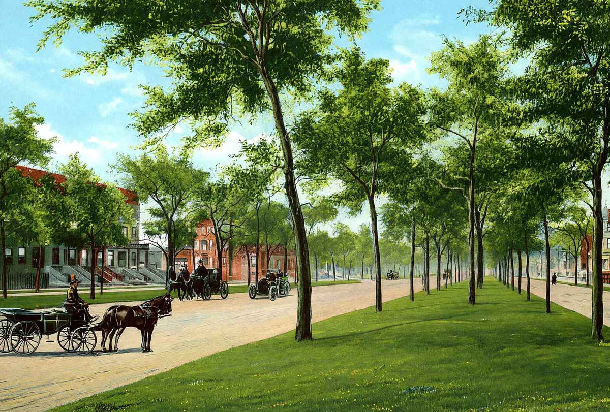 Grand Boulevard Chicago in 1905 Vintage Print (7 Sizes) - Shipped Flat