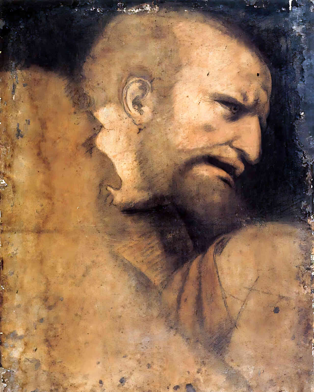 Head of St. Peter Painting by Leonardo da Vinci 8x10" Art Print (Archival Paper)