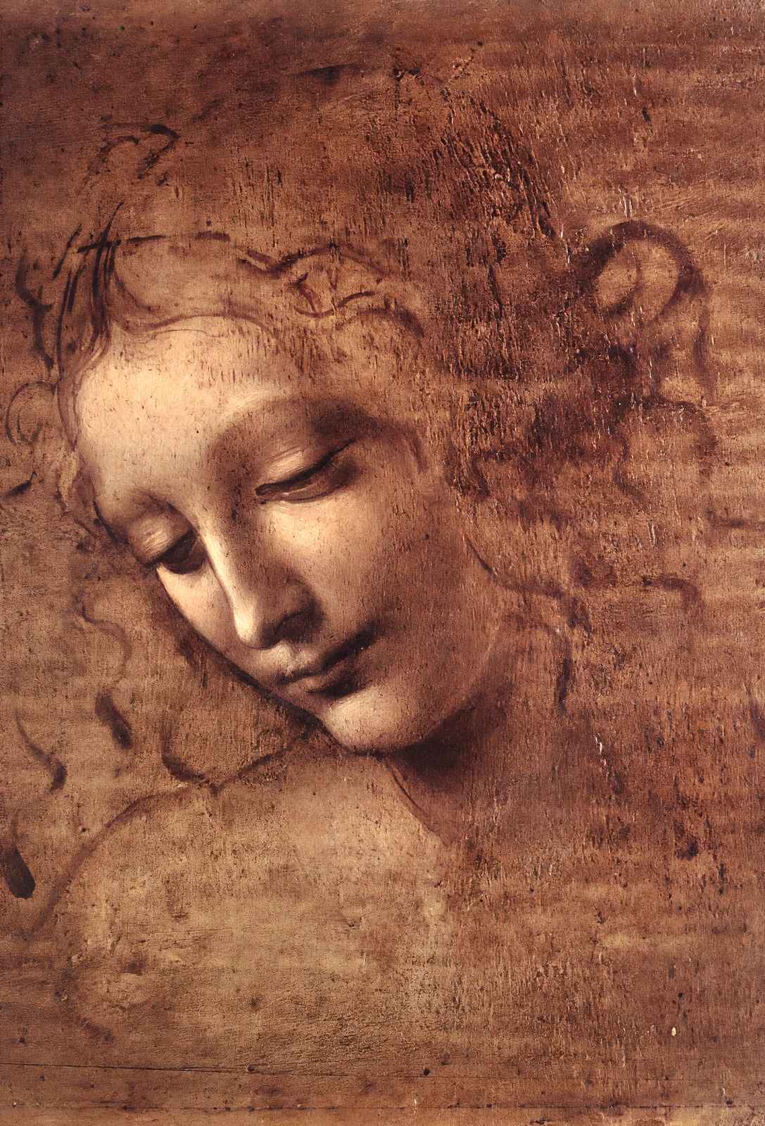 Head of a Young Woman with Tousled Hair (Leda) 1508 Art Print (6 Sizes)