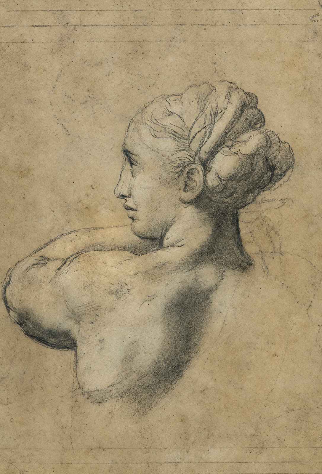 Head of a Woman 1520 Painting by Raphael Art Print (6 Sizes) - Premium Quality