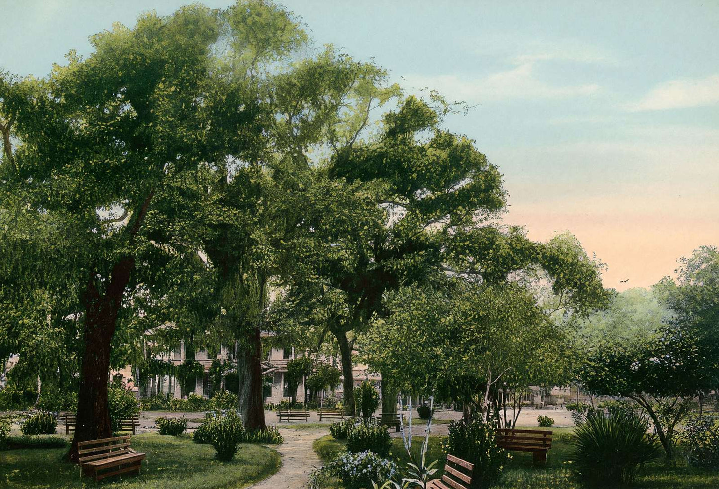 Scene at Sam Houston Park Houston in 1906 Vintage Print (7 Sizes)