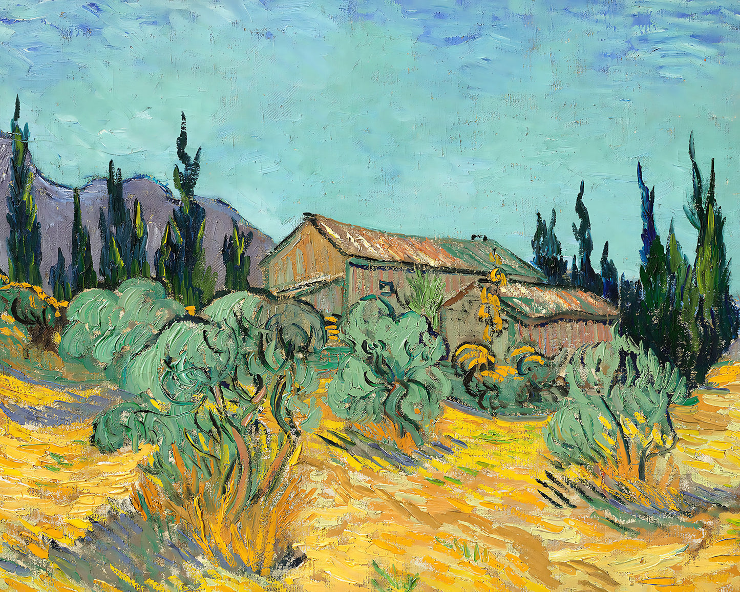 Huts Surrounded by Olive Trees Painting by Vincent van Gogh 8x10" Art Print