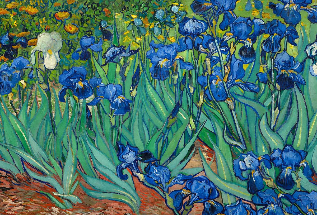 Irises Fine Art Print Painting by Vincent van Gogh (6 Sizes) - Flowers