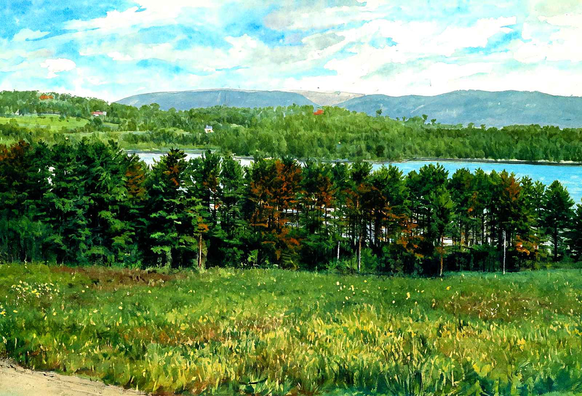 Overlooking Laurel Lake, Lenox, Massachusetts in 1906 Art Print (7 Sizes)