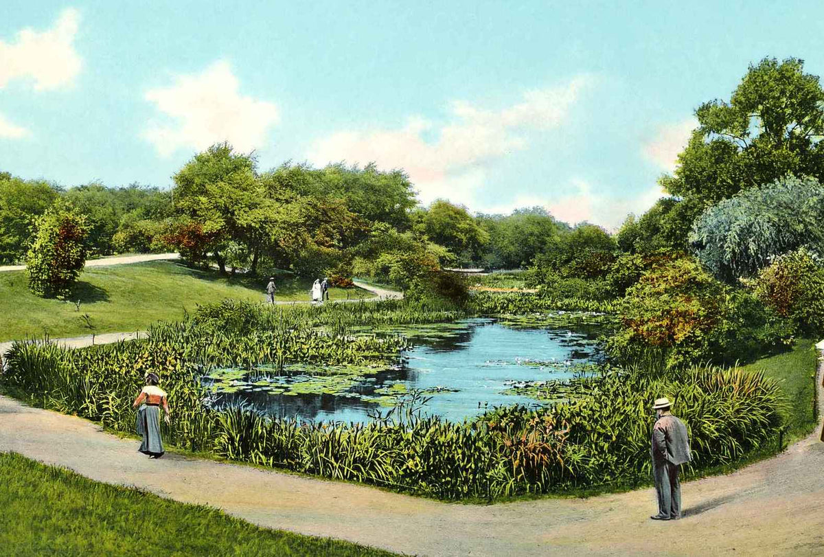 Lily Pond Lincoln Park Chicago in 1905 Vintage Print (7 Sizes)