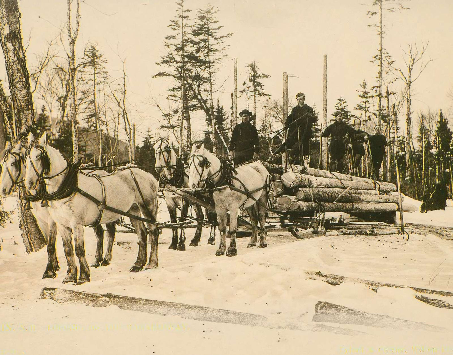 Logging on the Magalloway Berlin NH in 1905 Vintage Print (7 Sizes)