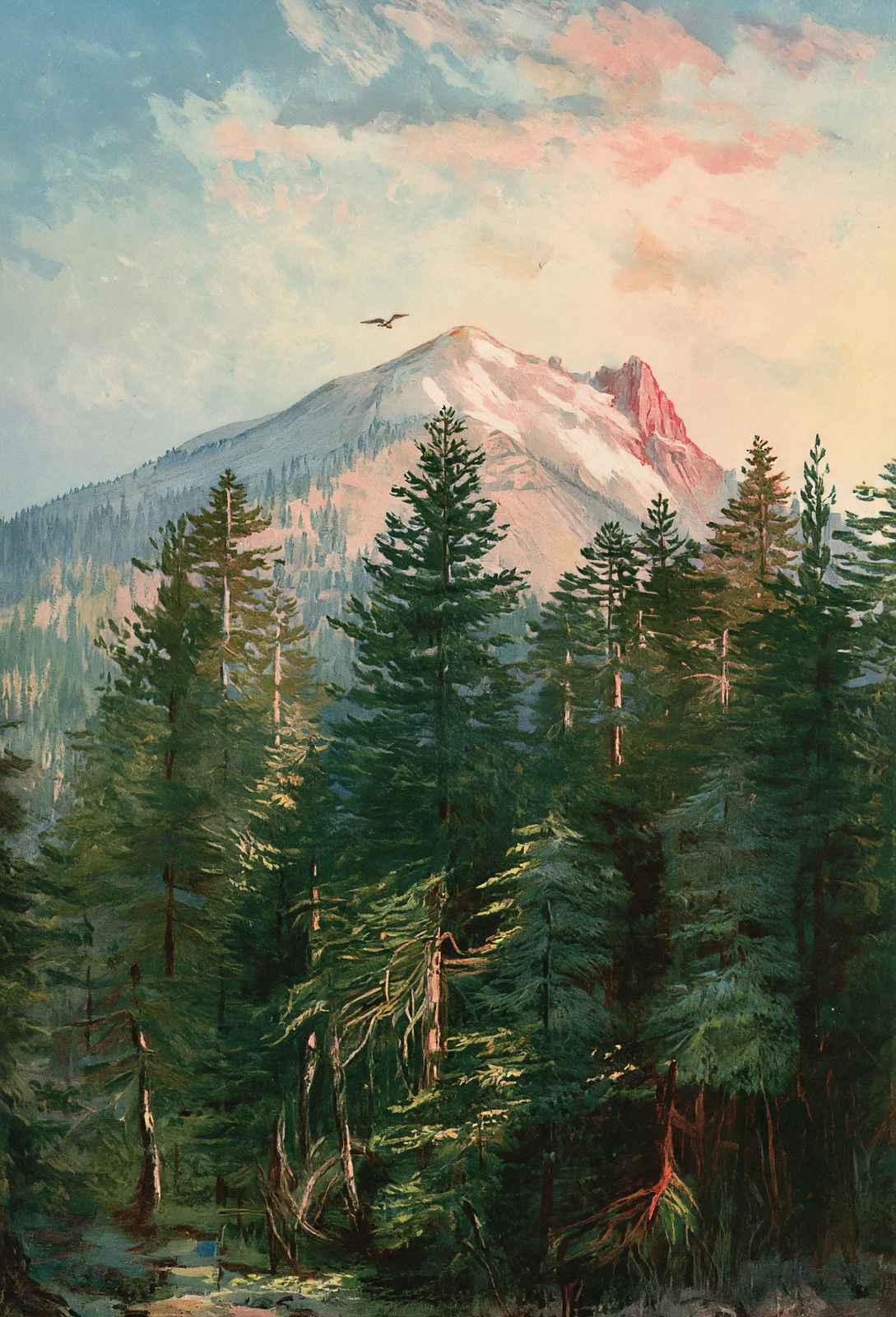 Mount Pitt Southern Oregon in 1908 Vintage Print (7 Sizes) - Reproduction