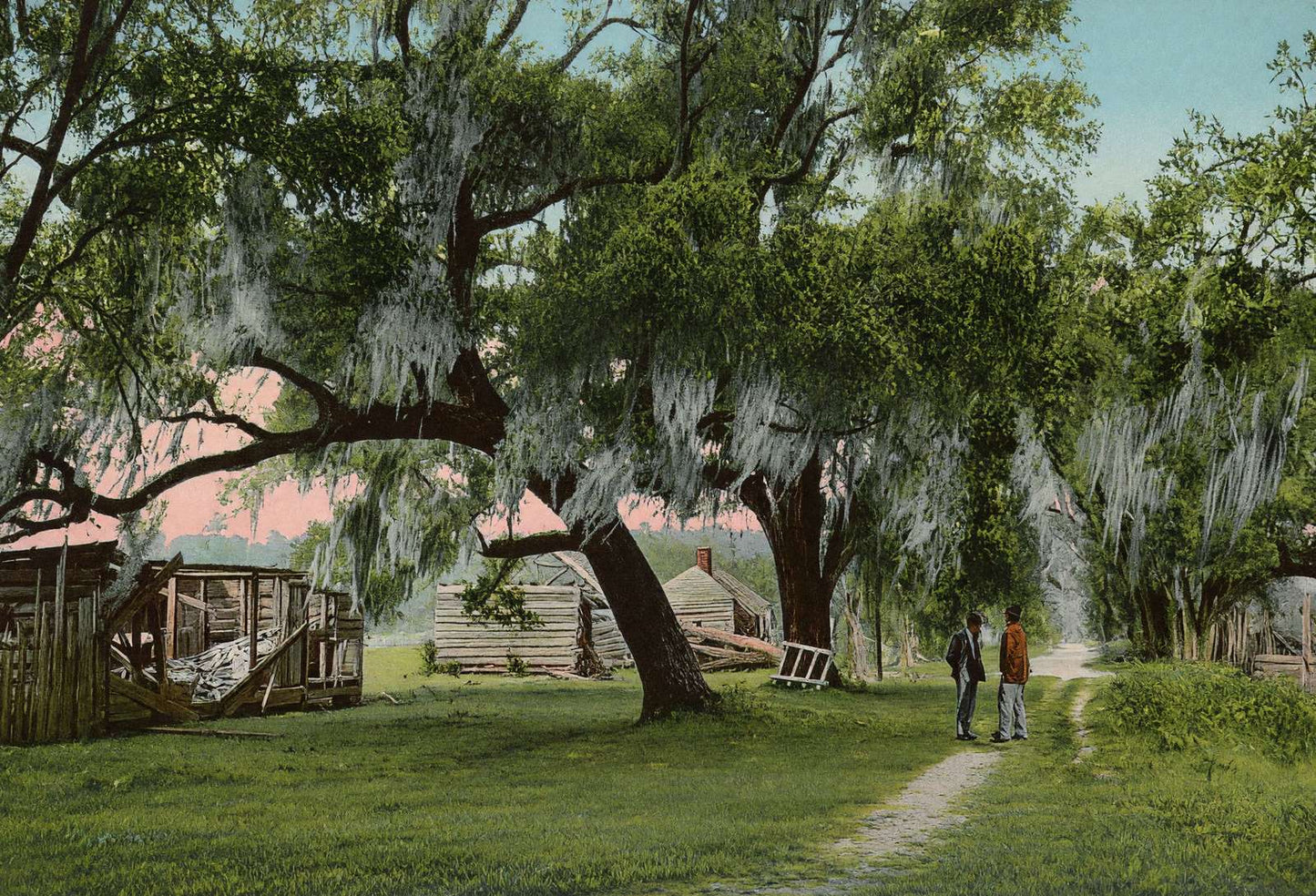 Mulberry Grove Plantation Savannah GA in 1905 Vintage Print (7 Sizes)