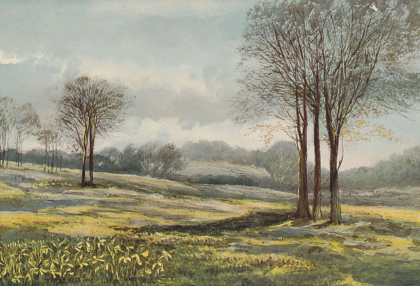 Minstead in March New Forest in 1906 Vintage Print (7 Sizes) - Archival Paper