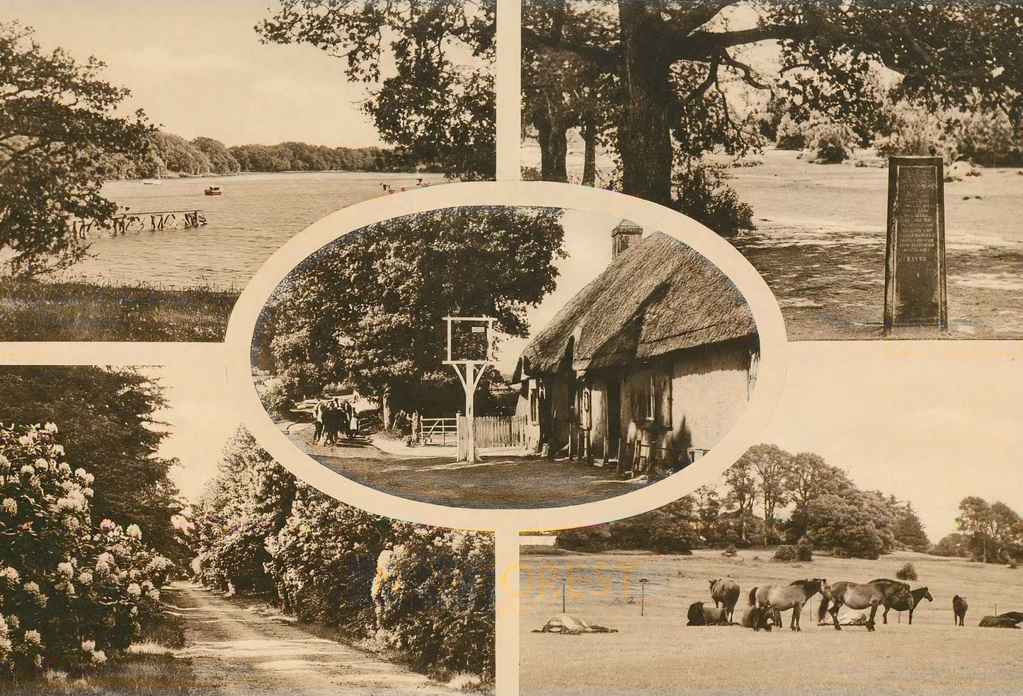 New Forest in 1943 Vintage Print (7 Sizes) - Restored