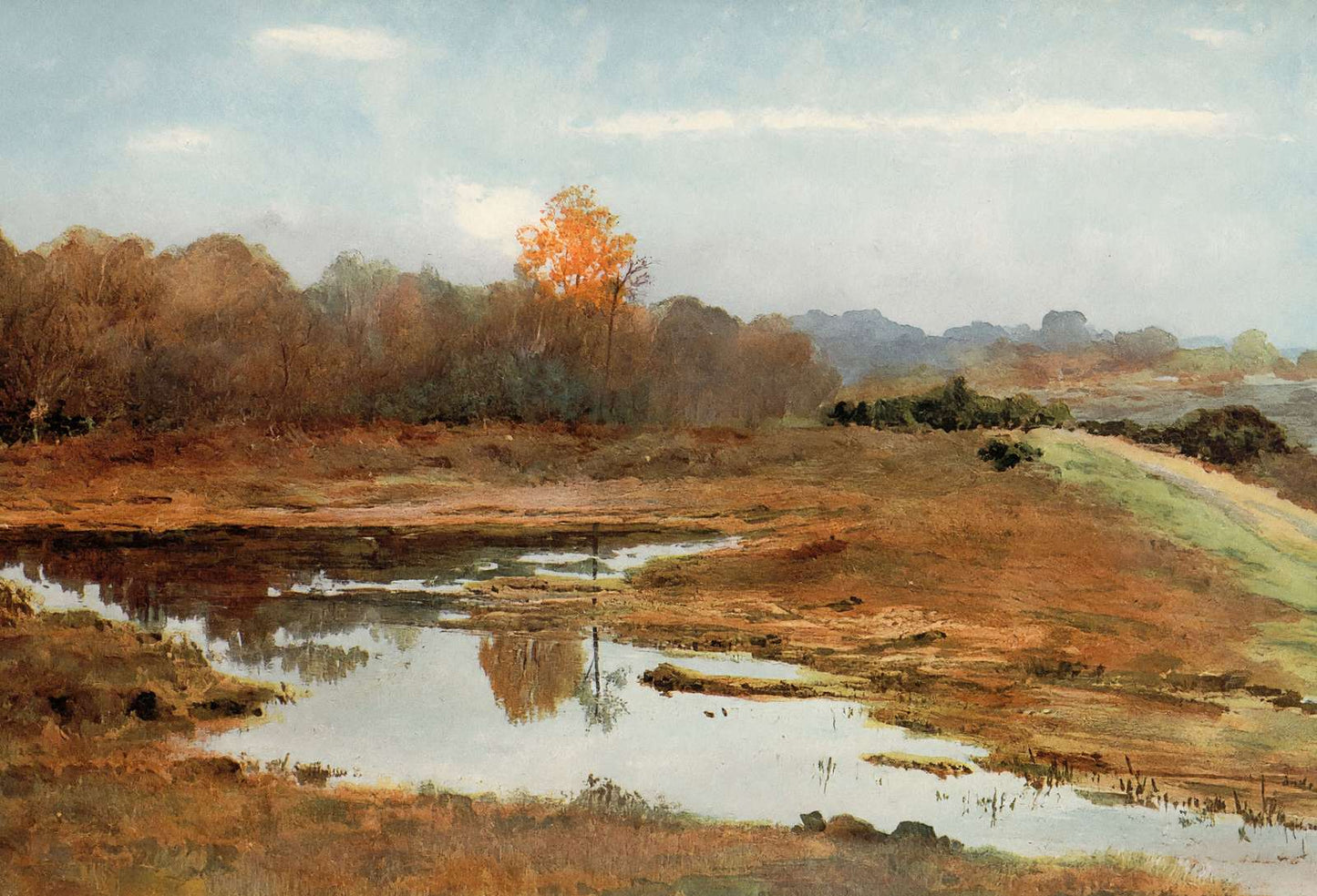 A Wet October New Forest in 1906 Vintage Print (7 Sizes) - Reproduction