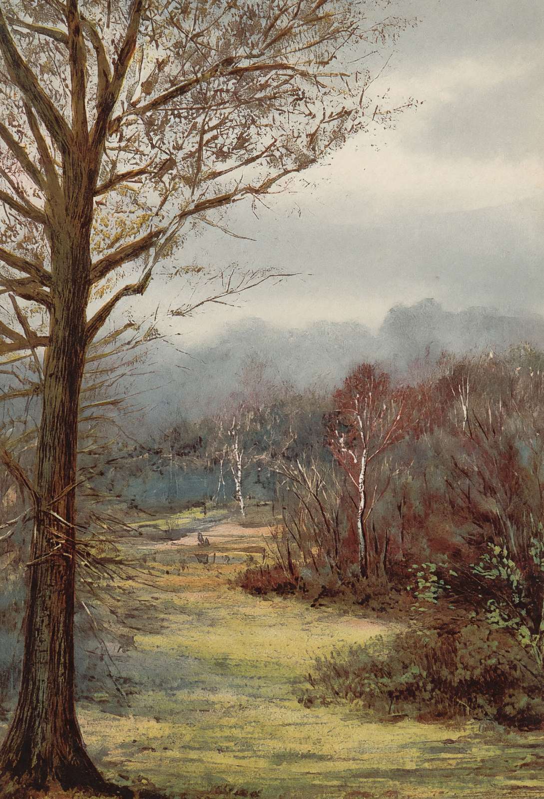 Brockenhurst in Early Spring New Forest in 1906 Vintage Print (7 Sizes)