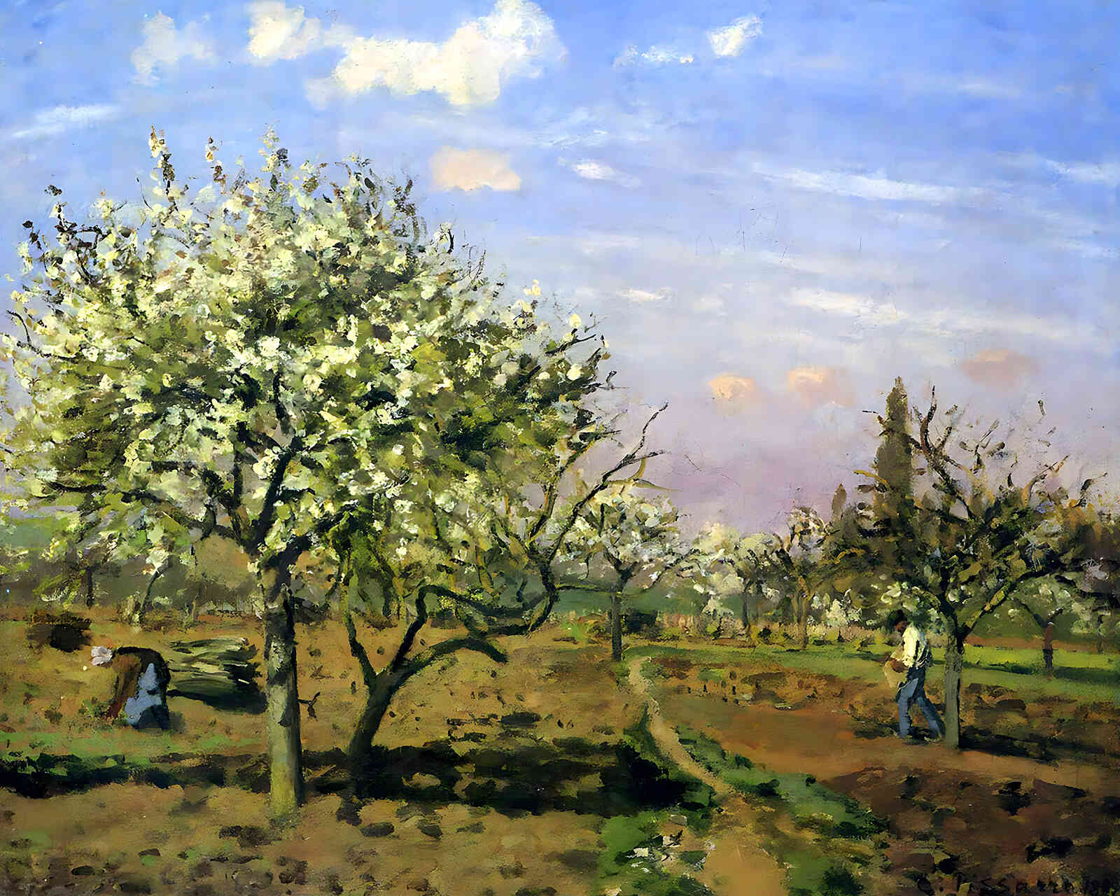 Orchard in Blossom