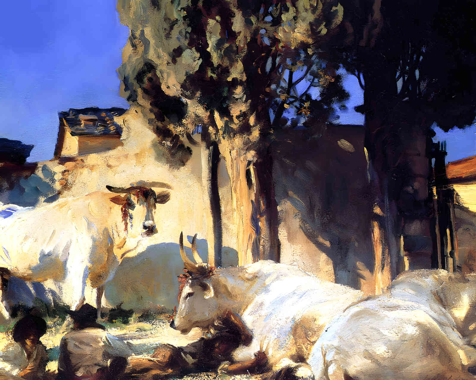 Oxen Resting 1910 Painting by John Singer Sargent 8x10" Art Print