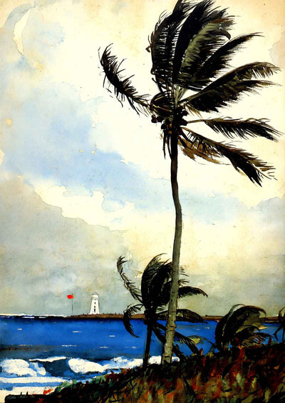 Palm Tree, Nassau Art Print 1898 by Winslow Homer (6 Sizes) Premium Print
