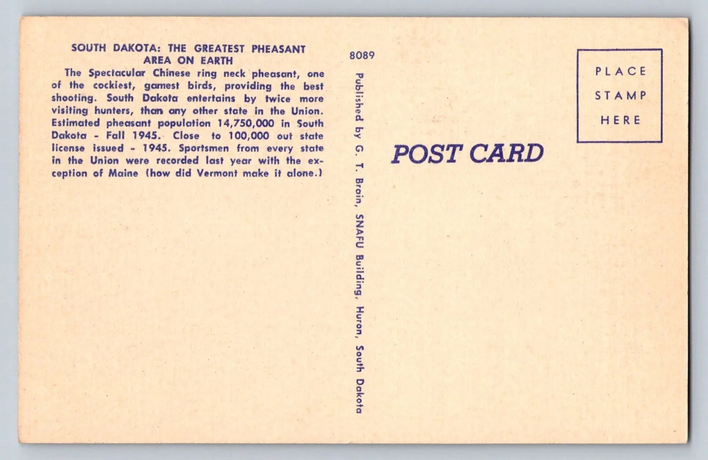 The Bird That Made South Dakota Famous - Chinese Ring Neck Pheasant Postcard