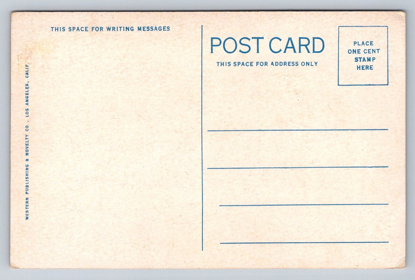 Greetings from California - Seagul, Hegull, Shegull (Bird) Vintage Postcard