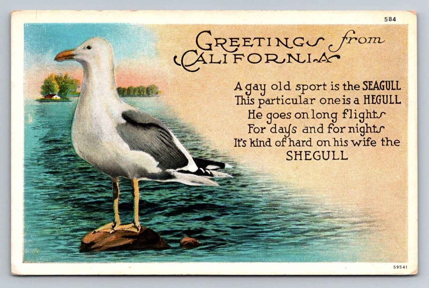 Greetings from California - Seagul, Hegull, Shegull (Bird) Vintage Postcard