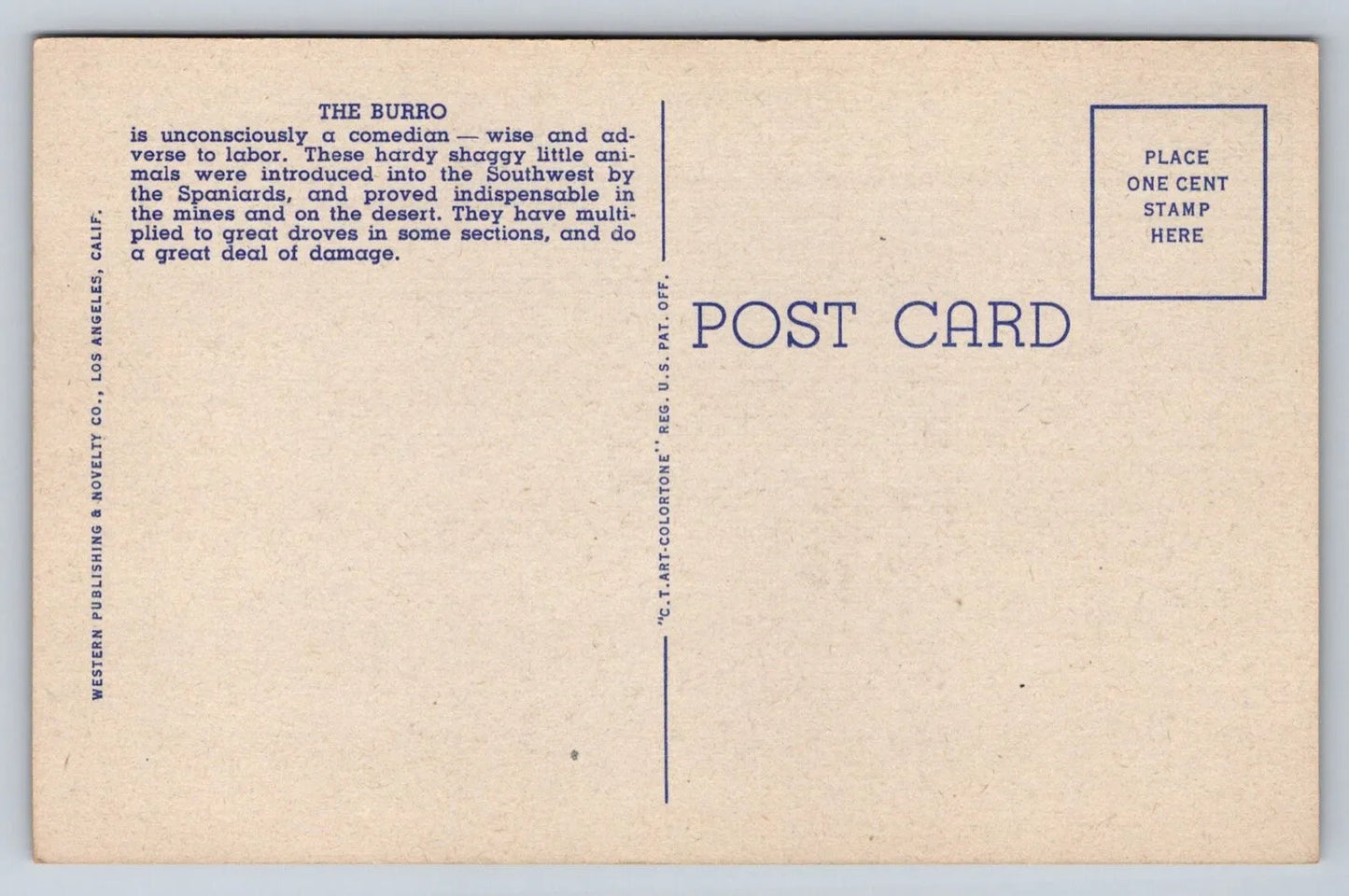 Desert Sweethearts - the Burro - Donkeys Vintage Postcard