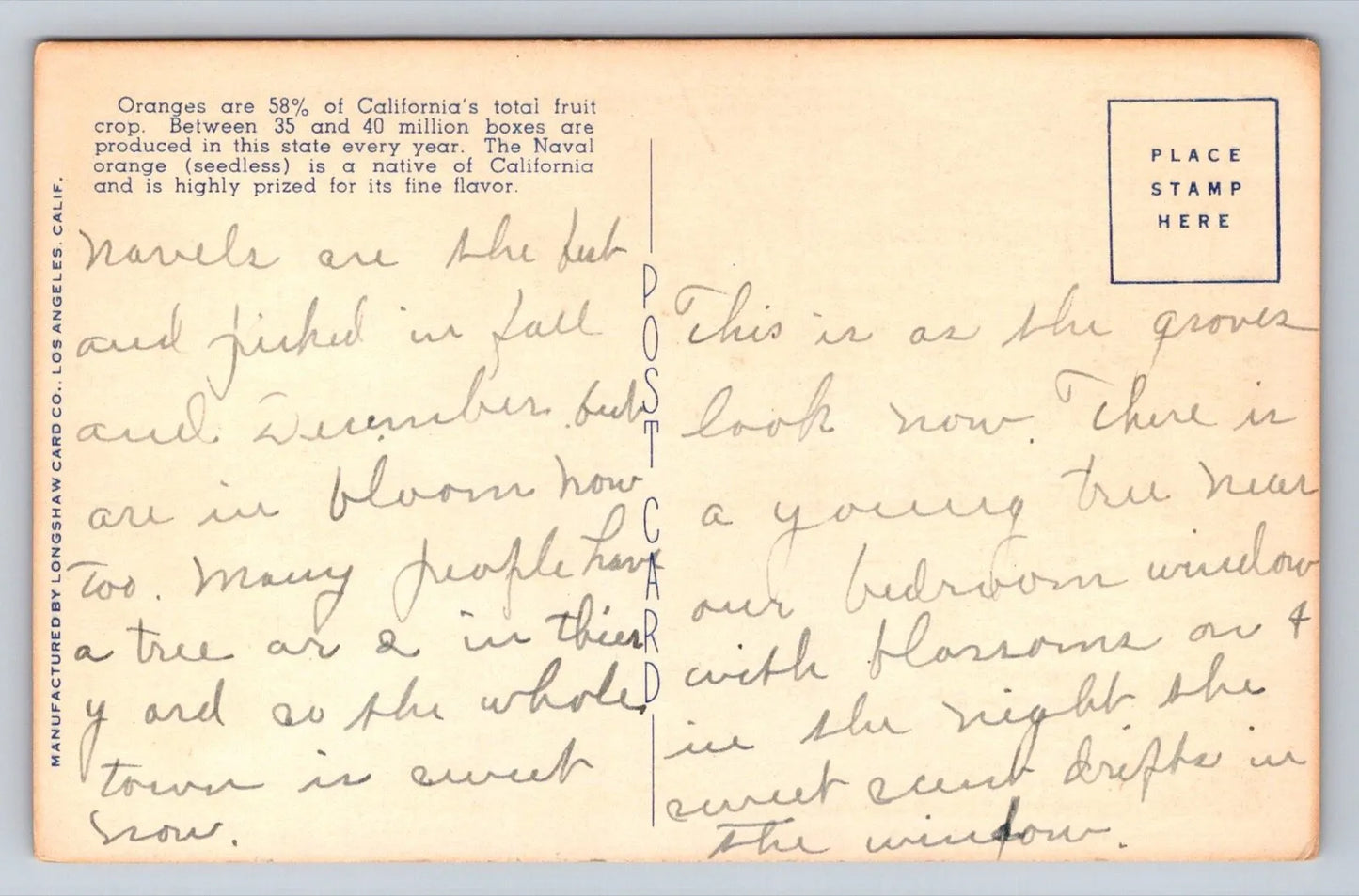 California's Golden Oranges and Waxlike Blossoms Vintage Postcard AWESOME