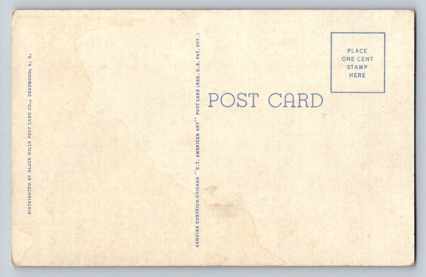 Beauty Scene in Spearfish Canyon, Black Hills, South Dakota Vintage Postcard