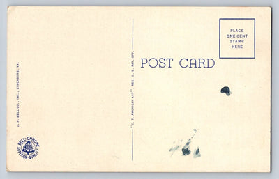 Night View, Natural Bridge, VA (Virginia) Vintage C. T. American Art Postcard